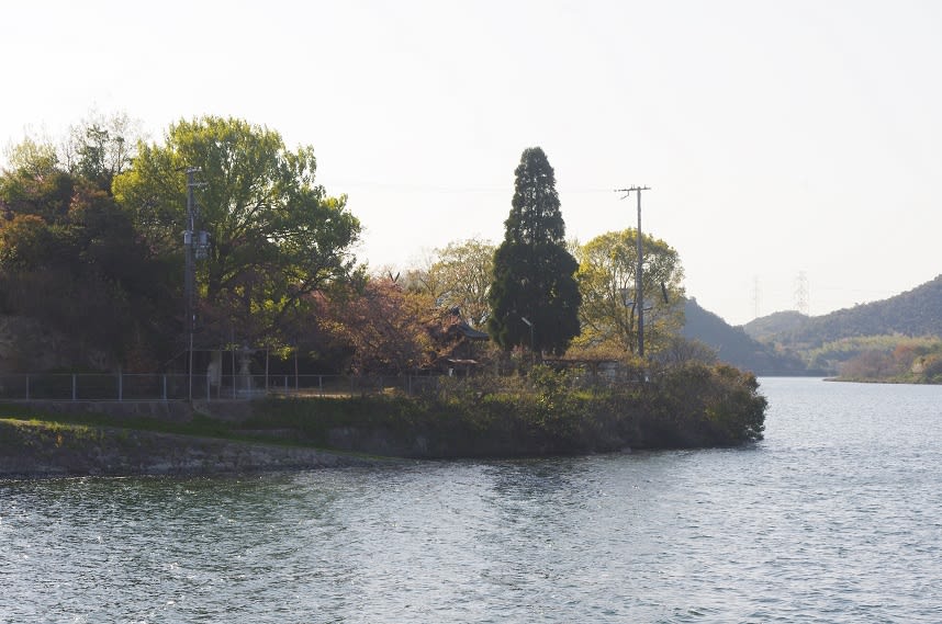 平荘湖/兵庫県加古川市平荘町池尻 スケルトンハウス‐きまぐれCafe 平荘湖/兵庫県加古川市平荘町池尻 スケルトンハウス‐きまぐれCafe