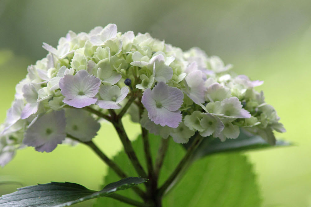 カタカタ鳴る骨 ゆうゆうの教会便り