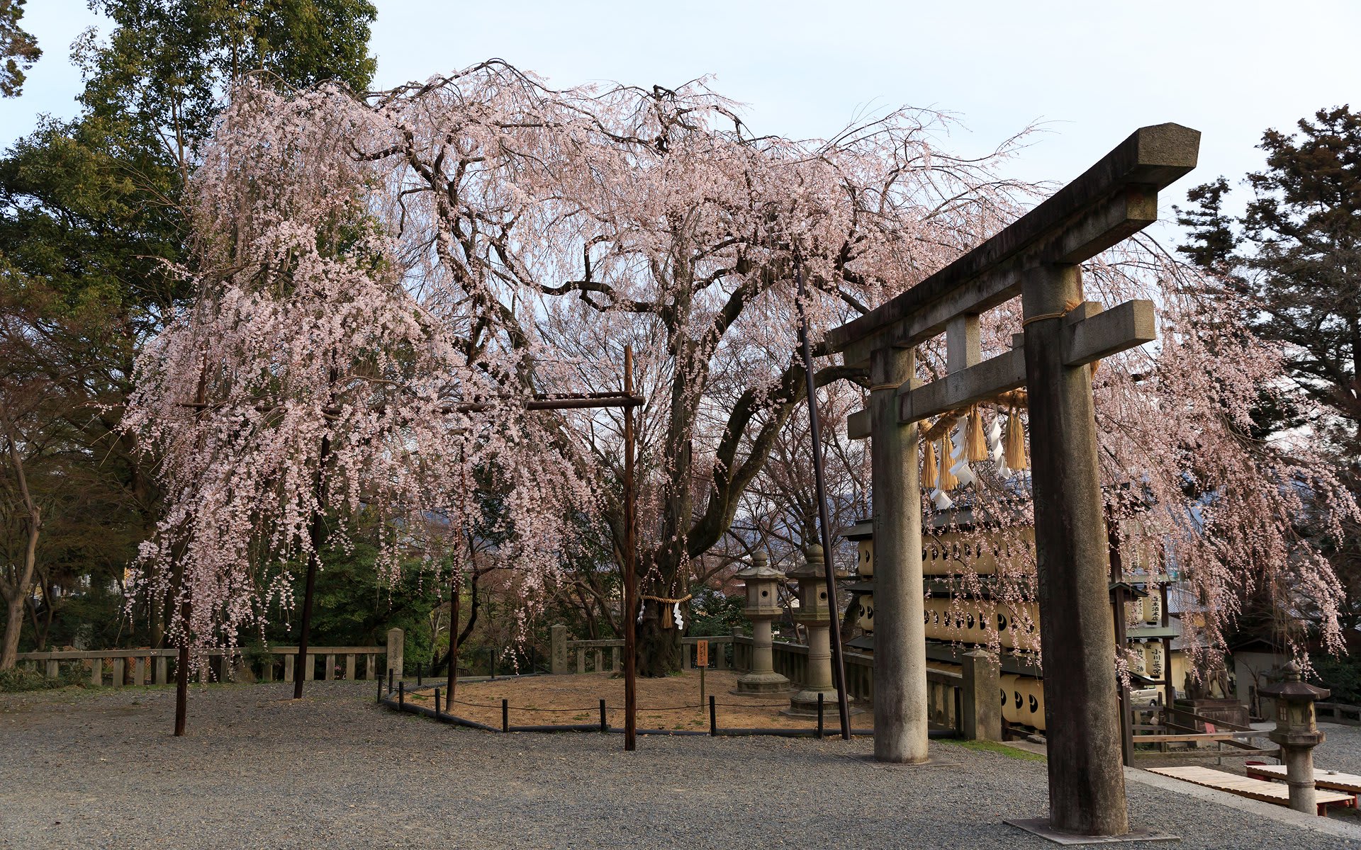 13年春の京都 大石神社の壁紙 計19枚 壁紙 日々駄文