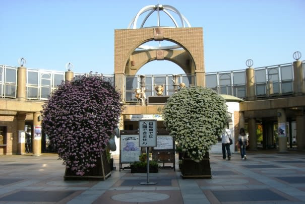 大阪・<b>天王寺動物園</b> １１月イベント情報 - 『新世界』の情報ブログ