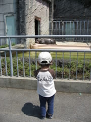 <b>名古屋市東山動植物園</b>へ