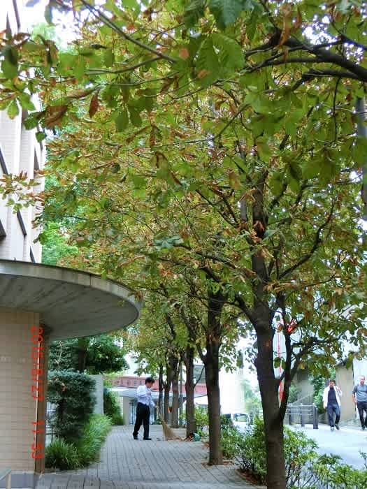 府中 ホテル 駐車場 宿泊 格安 みなとみらい