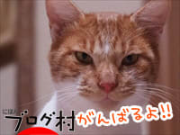 にほんブログ村 猫ブログ 完全室内飼