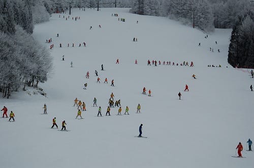 市内小学校のスキー教室がピークに！！ - Yuki-momoGarden