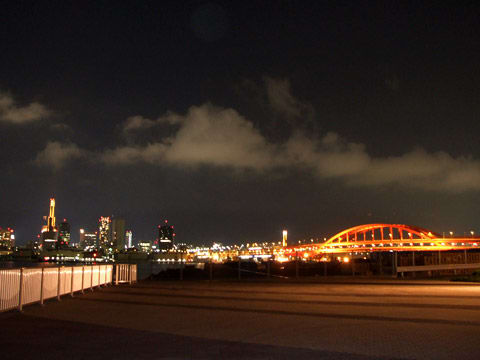 ポーアイしおさい公園からの夜景