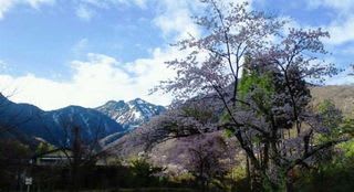 焼岳と満開の桜 - 山 渓 水 大自然と温泉と。。<b>奥飛騨温泉郷</b> 秀さん日記。
