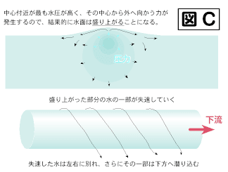 断面と側面