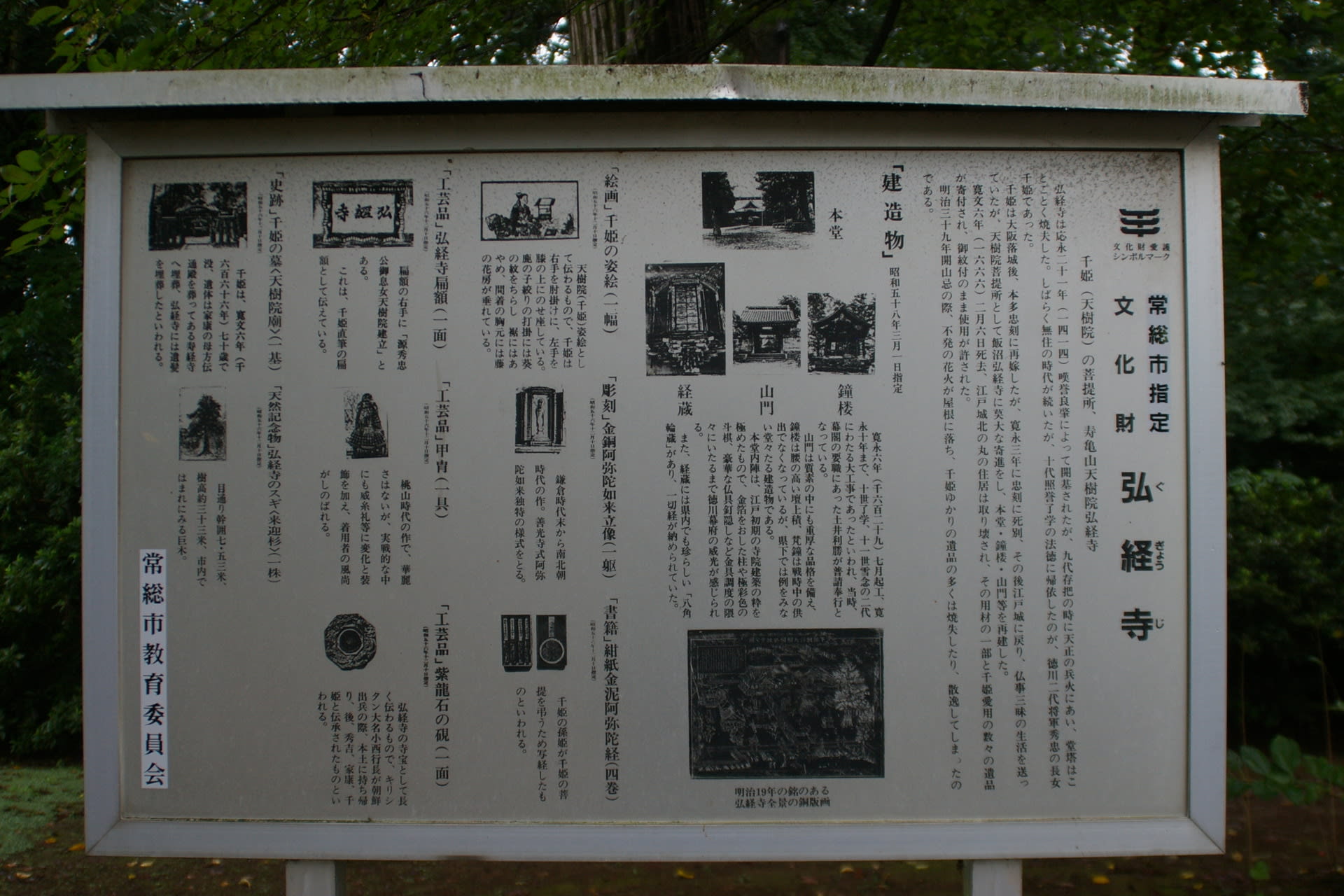 茨城県常総市、弘経寺来迎杉と千姫の墓です！！ ビーズうさぎのハナちゃんです！！