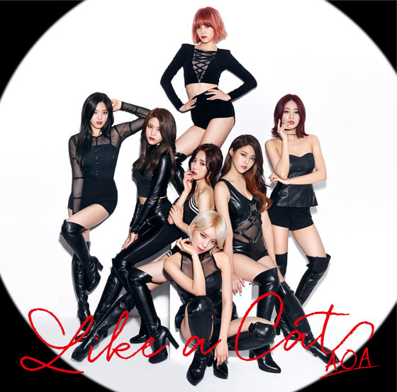 AOA、エーオーエー