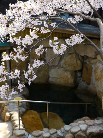 龍泉閣 貸切露天風呂の桜