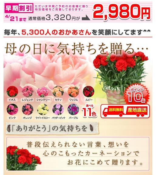 11色から選べるカーネーション