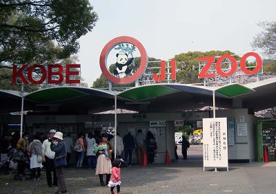 <b>神戸王子動物園</b>の花見 - 健康自由メモ
