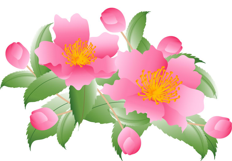 「無料イラスト5月の花」の画像検索結果