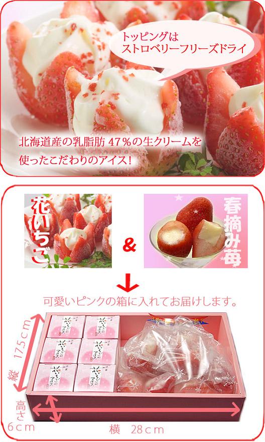 真っ赤な大粒イチゴ+練乳アイスをたっぷり フローズンデザート 花いちごのアイス