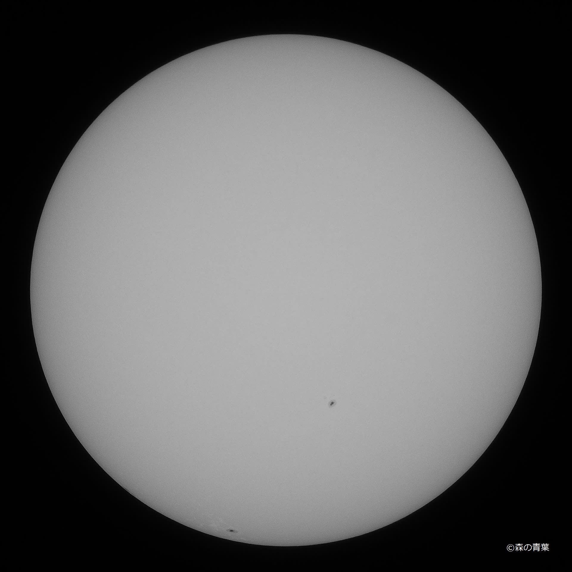 大会　赤外線 ○太陽黒点 - 森の青葉 Ⅱ－BORGで身近な月・太陽・野鳥撮影ブログ