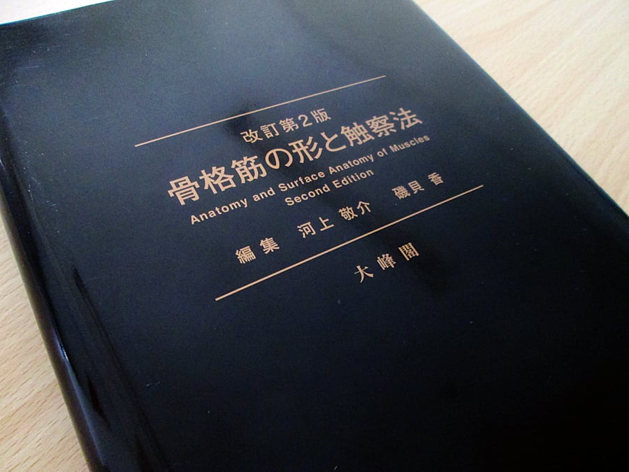 骨格筋の形と触察法 = Anatomy and Surface Anatomy… - 健康/医学