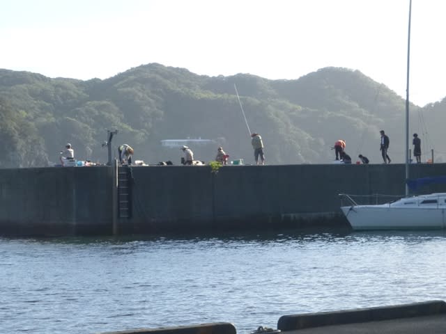 手石港でダンゴ釣り