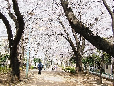 大山町遊歩道