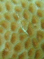 Pa070006_481x640 Pa070006_481x640