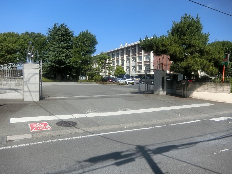 大宮西高校から原稲荷神社まで 咲いた万歩 大宮西高校から原稲荷神社まで 咲いた万歩