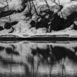 yotutiの写真日記…三弦橋(シューパロ湖） 見学他'14.4