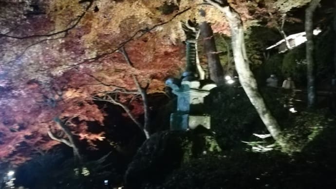 大興善寺の紅葉