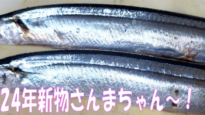 2024年の秋の味覚🐟秋刀魚豊漁と言われてるけれど・・・&足踏みカニカニ