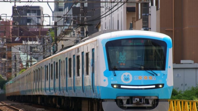2024年6月8日 小田急 南新宿 5055F もころん号