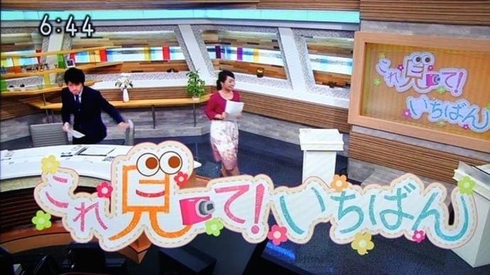 「これ見て!いちばん」放送0220~窪津・ウツボ
