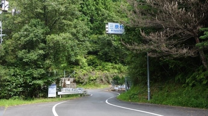 ミソハギと青い睡蓮と~三原村・星ヶ丘公園