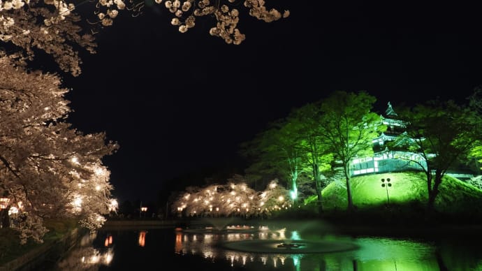 高田城址公園の桜2023リベンジ