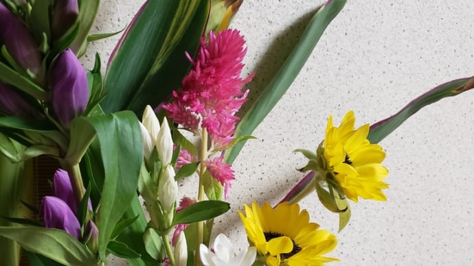 今週の🌼イイハナ🌼