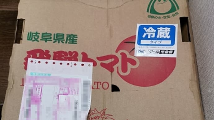 大量の夏秋トマトが到着！