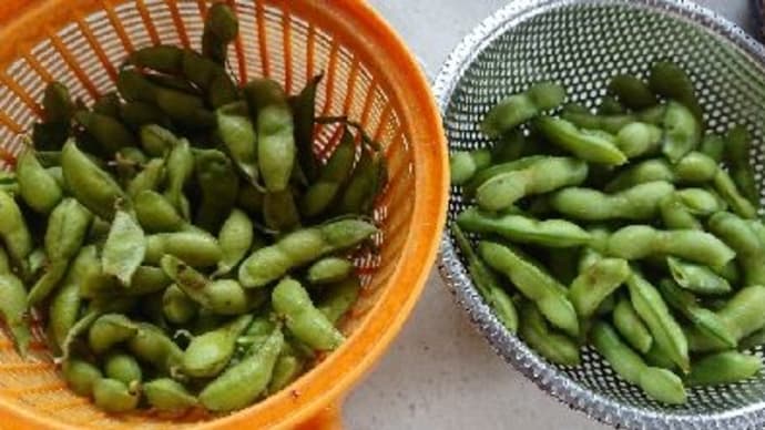 朝１番でラインあり。　＃新聞投稿　＃野菜収穫　＃枝豆・人参初収穫　＃頂き野菜