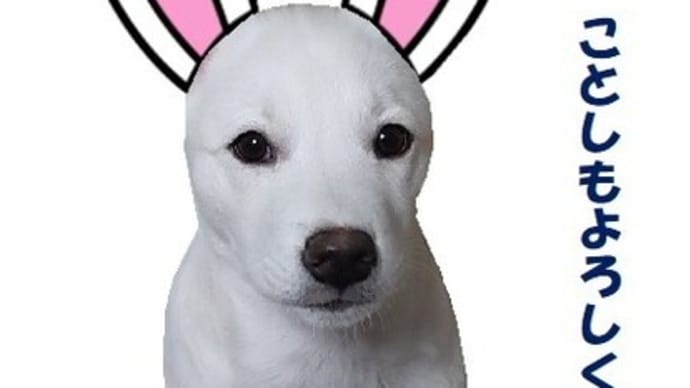 2023年明けました