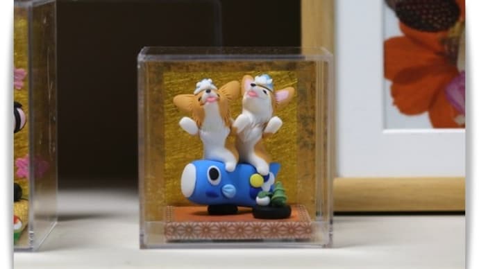 どんぐり工房 セミオーダー鯉のぼり