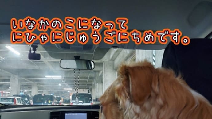 2023.03.21