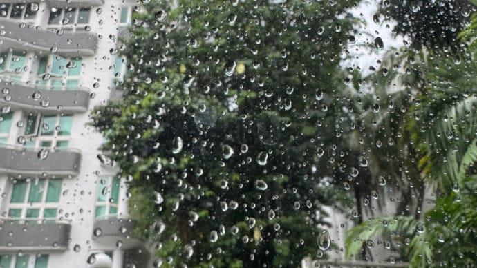 朝は雨。木曜日でラッキー。