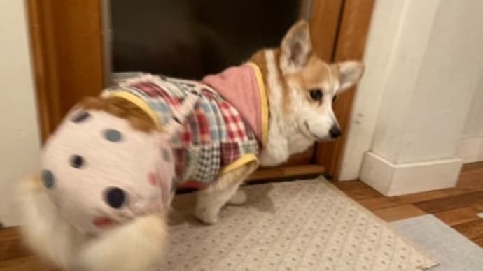 気になった理由