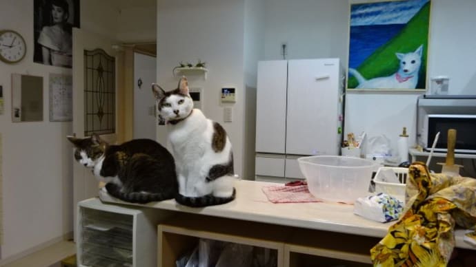 豆招き猫展に参加することにしたら