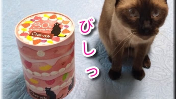 発掘で見つけた物