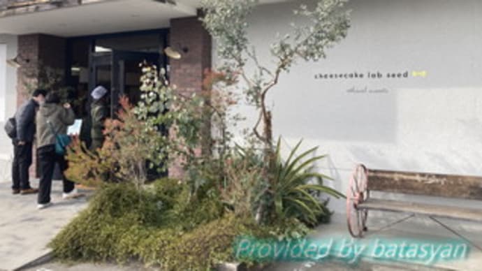 cheesecake lab seed 吉見本店