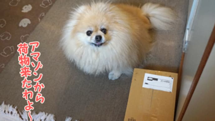 Amazonからのお届けで~す(今日は写真です)
