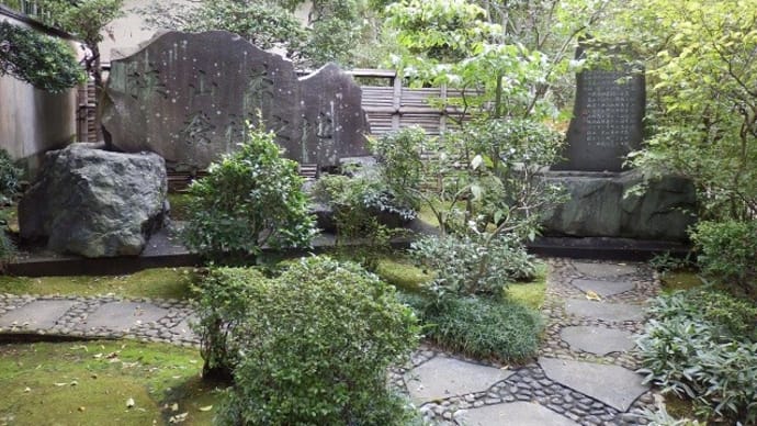 狭山茶のルーツなりしか河越茶(中院)
