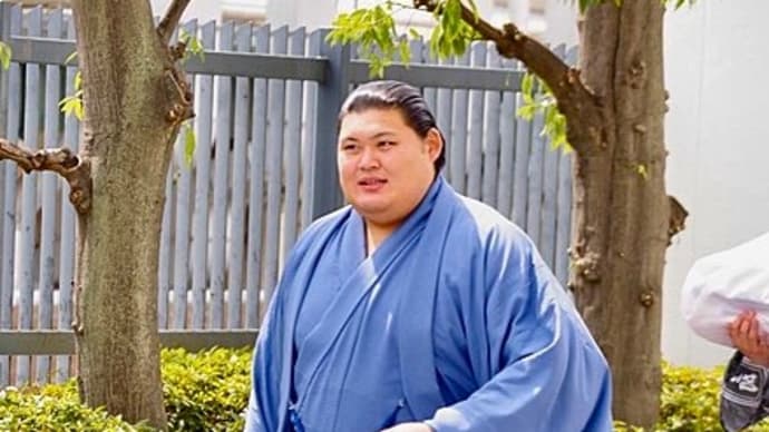 大相撲 伯桜鵬と大の里