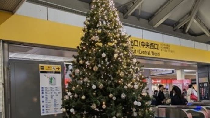 今年最初のイルミ見学