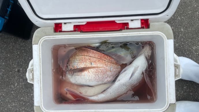11日・釣果