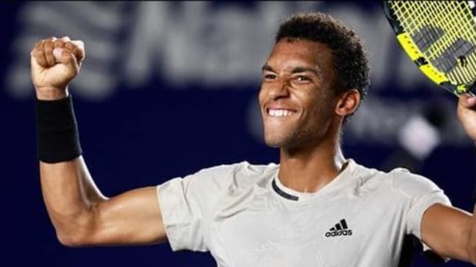 ATP World Tour250 Abierto de Tenis Mifel Quarterfinals