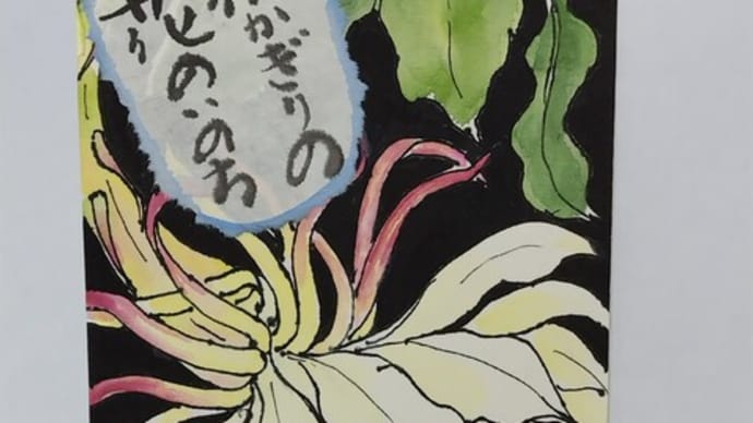 一夜かぎりの花のいのち…!