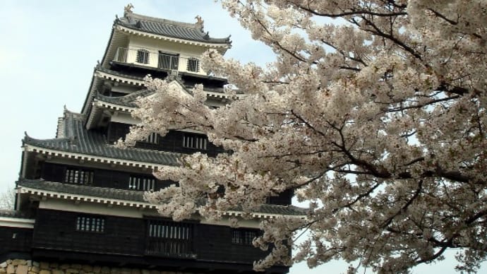 お城と桜